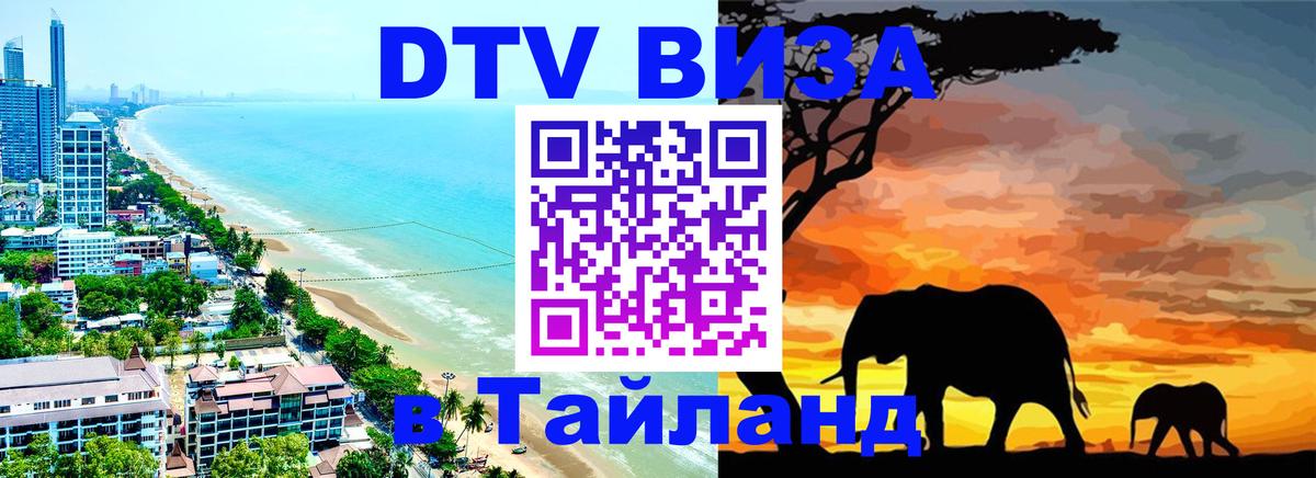 Оформление DTV визы под ключ: стоимость и тарифы, только загранпаспорт - 21.11.2025 